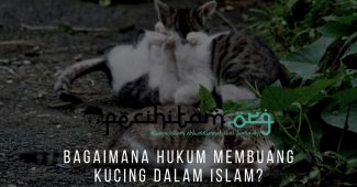Bagaimana Hukum Membuang Kucing dalam Islam?