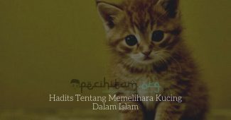 Hadits Tentang Memelihara Kucing Dalam Islam