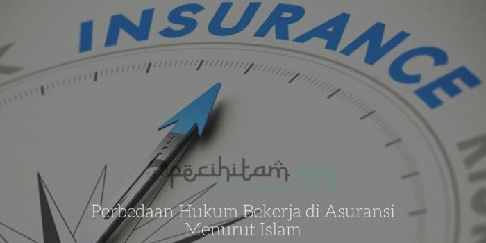 Perbedaan Hukum Bekerja di Asuransi Menurut Islam