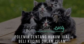 Polemik Tentang Hukum Jual Beli Kucing Dalam Islam