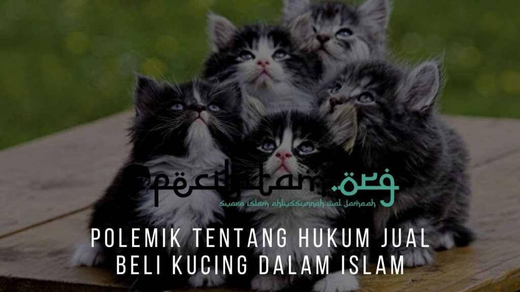 Polemik Tentang Hukum  Jual Beli Kucing Dalam Islam  