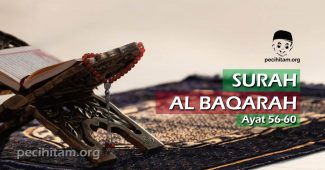 Surah Al Baqarah Ayat 56-60; Terjemahan dan Tafsir