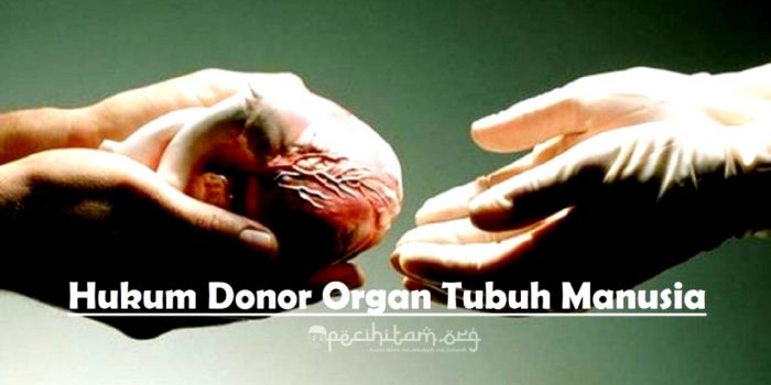 hukum donor organ tubuh dalam islam