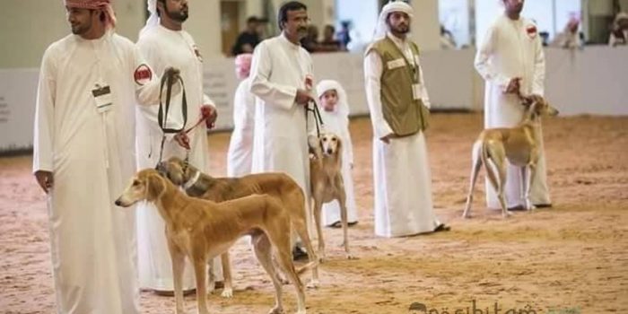 orang islam memelihara anjing