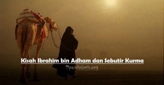 kisah ibrahim bin adham