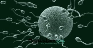 Hadis Tentang Sperma, Ragam Istilah Sperma dalam Bahasa Arab dan Pembentukannya
