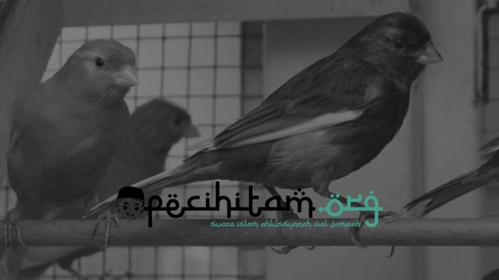 Jual Beli Burung Peliharaan dalam Pandangan Hukum Islam 