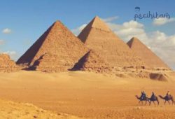 Mesir Bumi Para Nabi