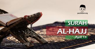 Surah Al-Hajj Ayat 14