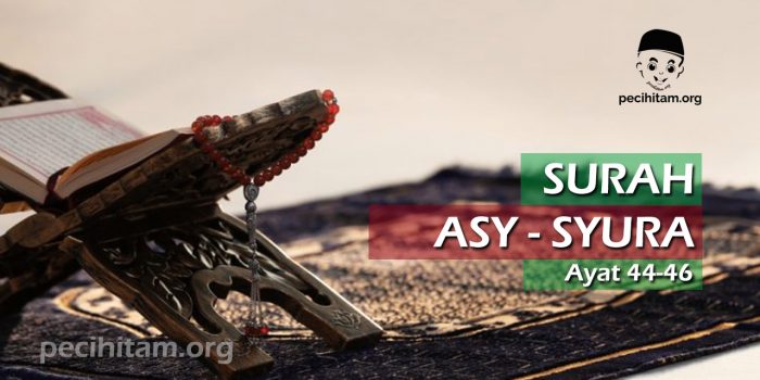 Surah Asy-Syura Ayat 44-46
