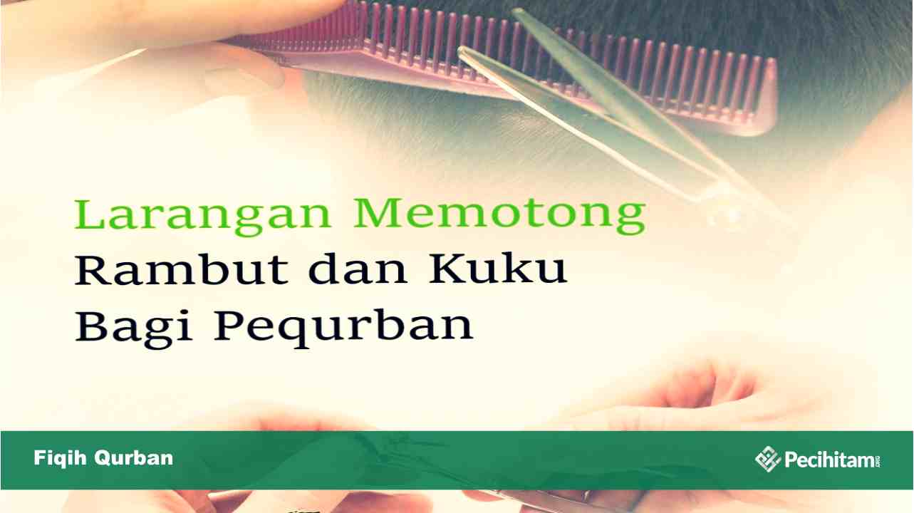 Seputar Larangan Memotong Kuku Dan Rambut Bagi Yang Hendak Berqurban Pecihitam Org